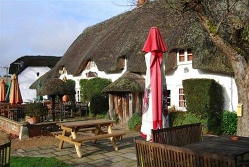The Hatchet Inn Chute Eksteriør bilde